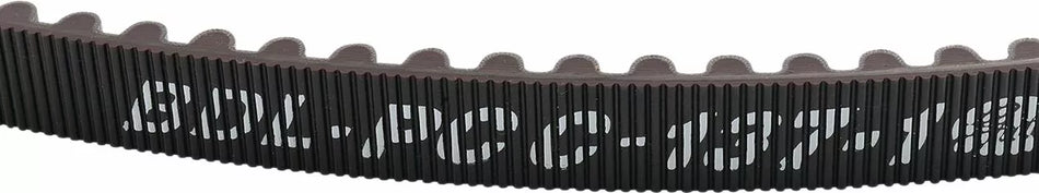 Rear Drive Belt