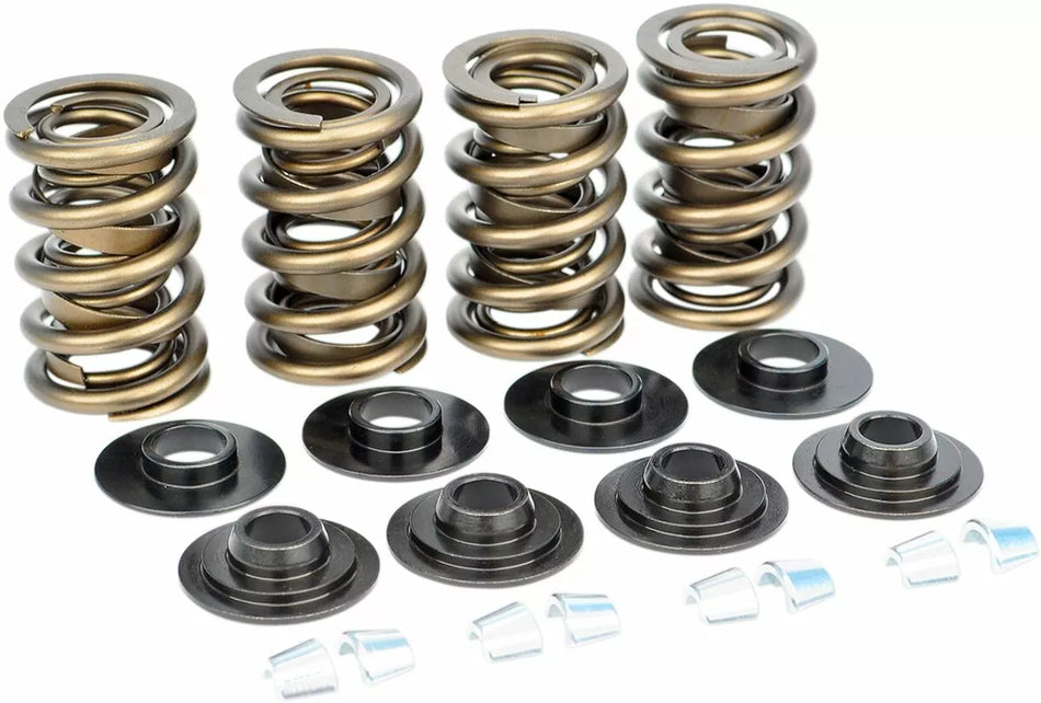 Dual Valve Spring Kit