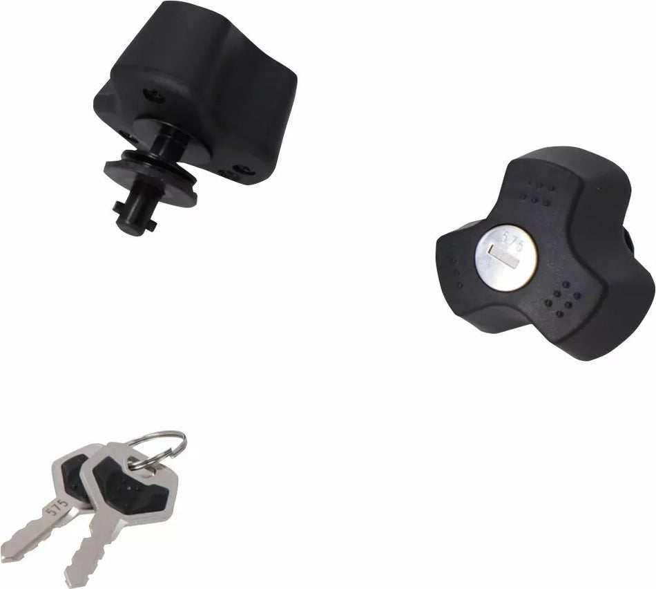 Anti-Theft Protection for Side Carrier