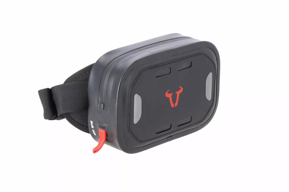 Belt WP