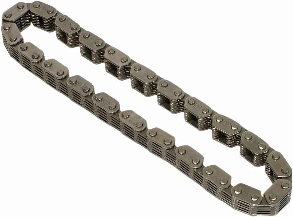Cam Chain