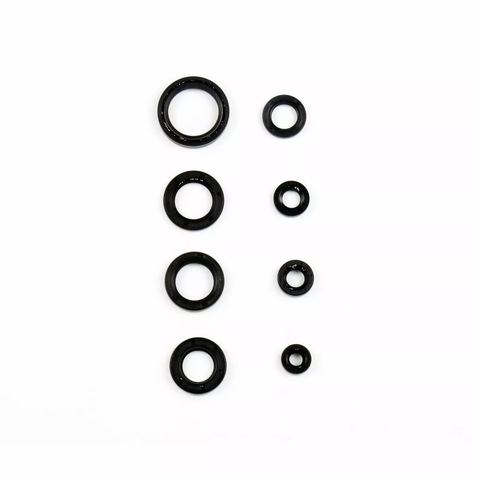 Oil Seal Kit