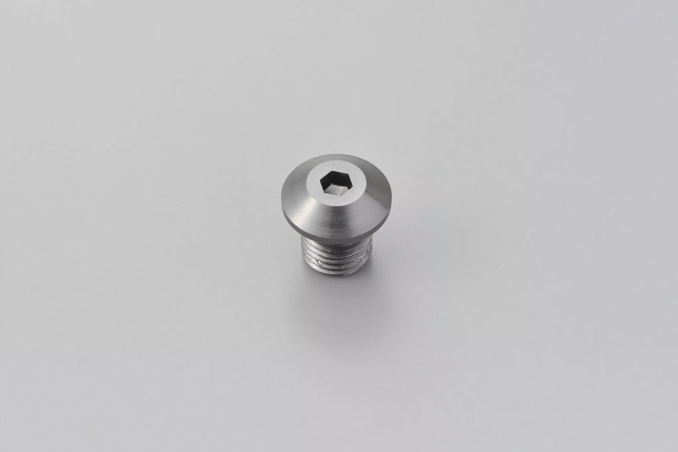 Mirror Plug Bolt