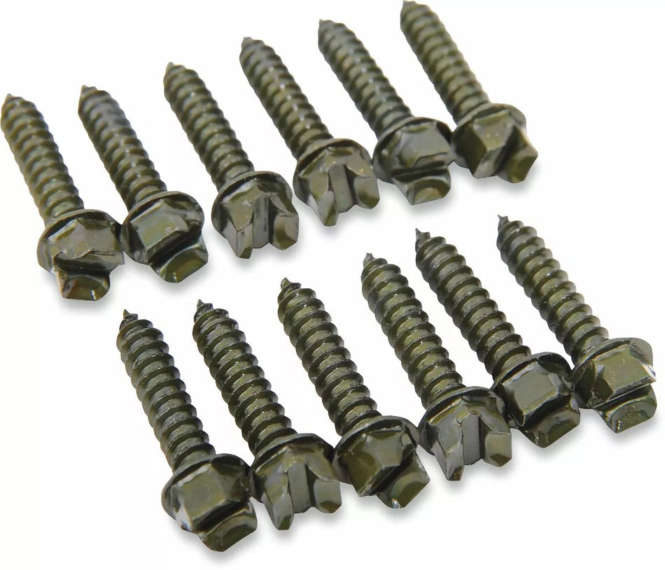 "Pro Gold" Ice Screws