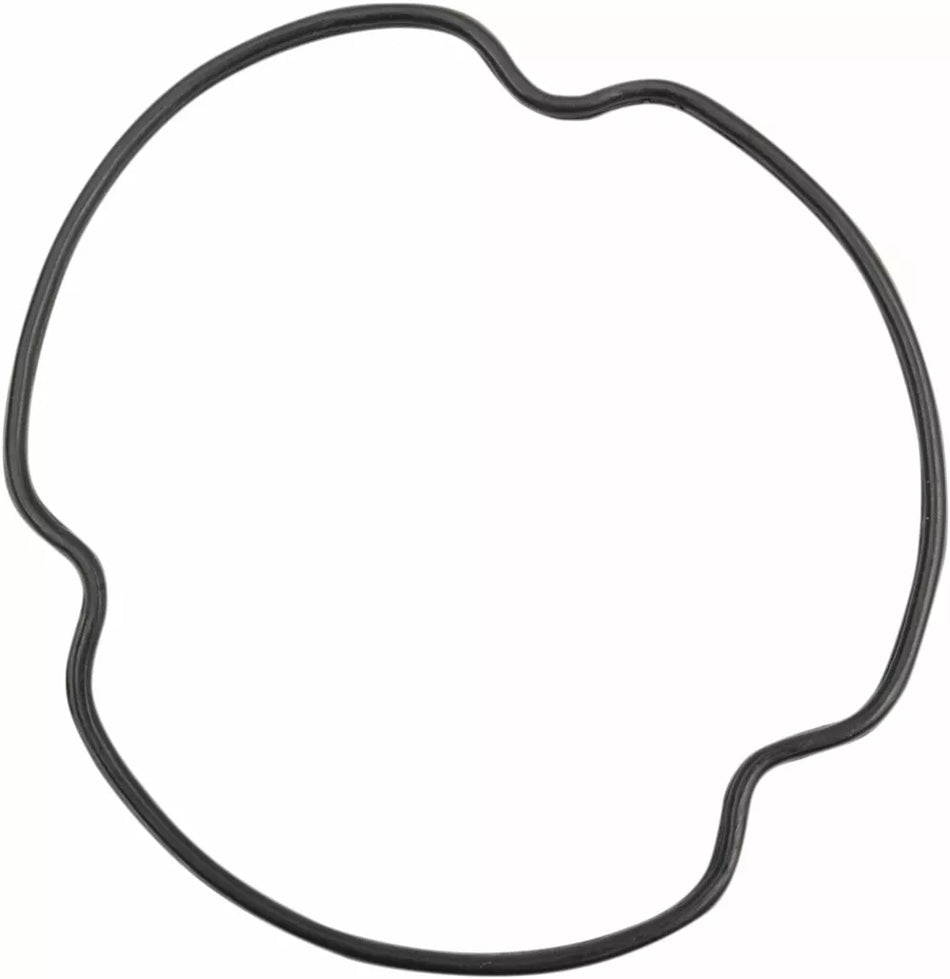 Oil Filter Cover O-Ring