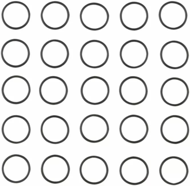 Shifter O-Ring