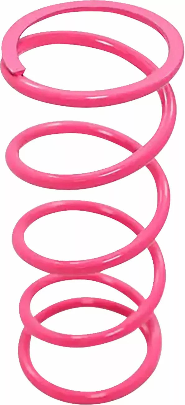 Primary Clutch Spring