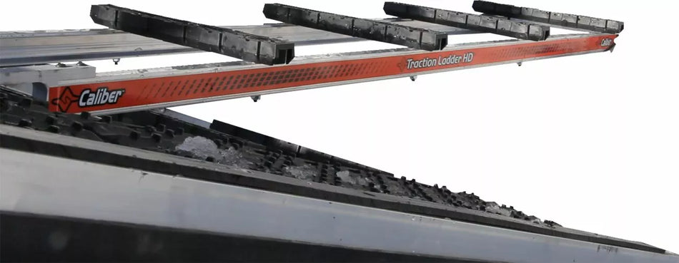 Traction Ladder