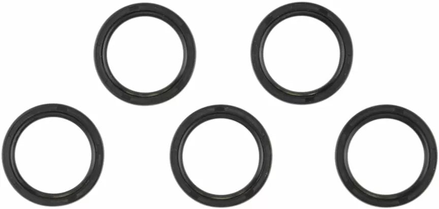 Main Shaft Seal