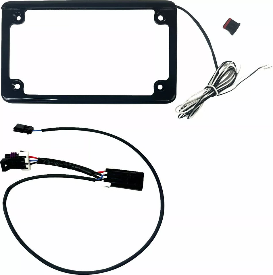 License Plate Frame with Tag Illumination
