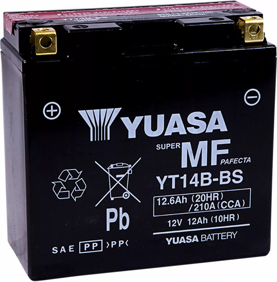 AGM Maintenance-Free Battery
