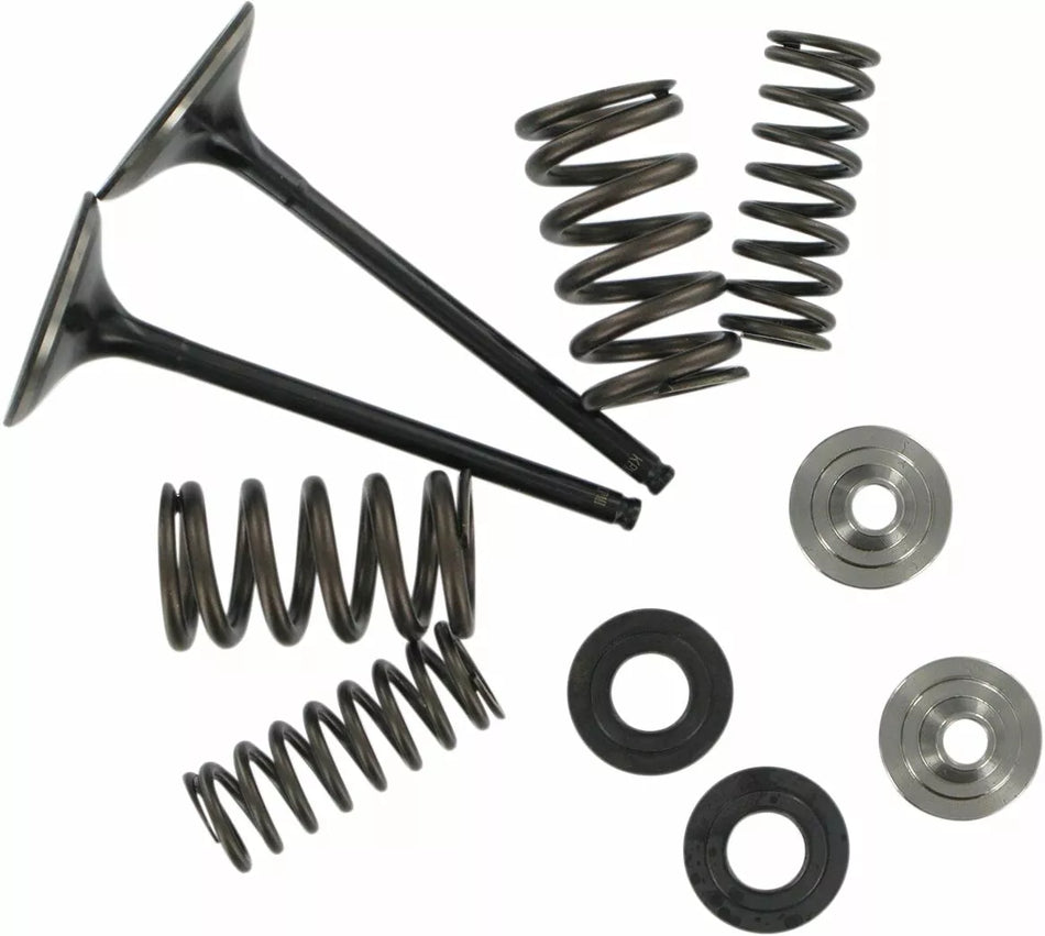 Stainless Steel Conversion Valve and Spring Kit