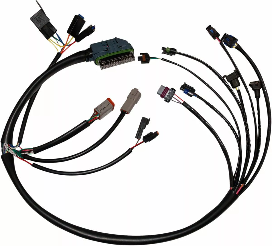 Complete EFI Wiring Harness