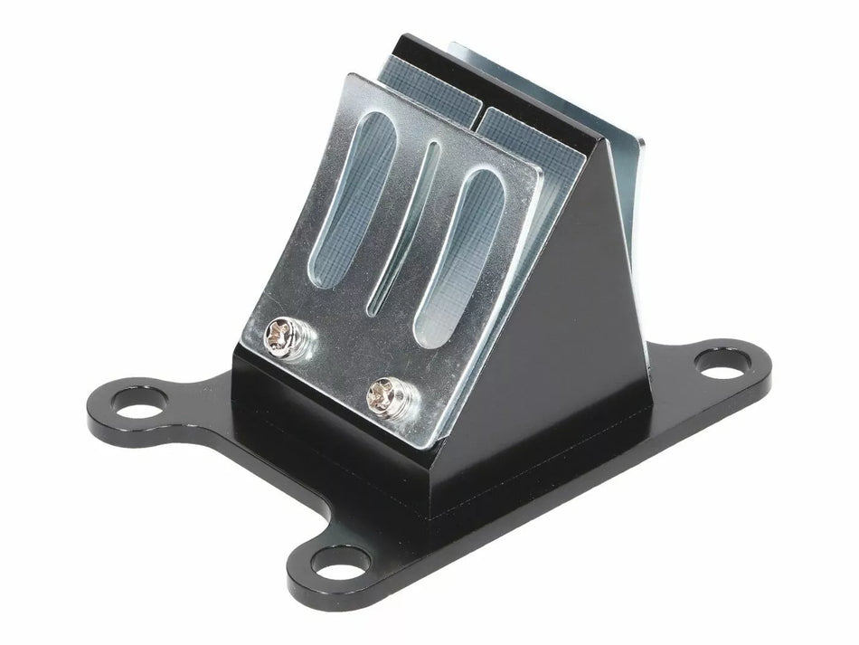 Reed Valve Kit