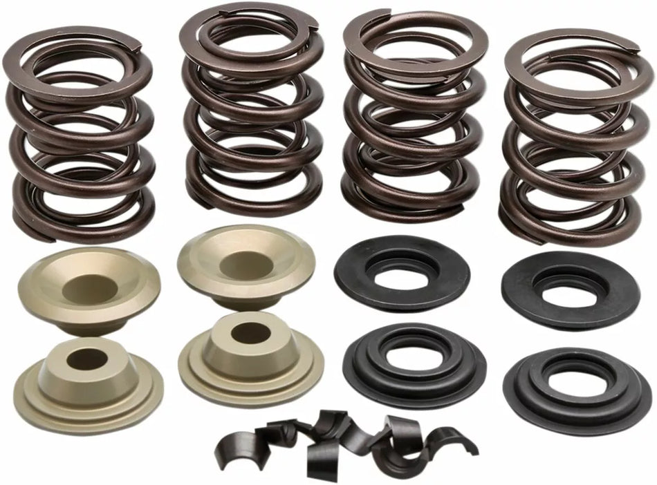 Complete Valve Spring Kit