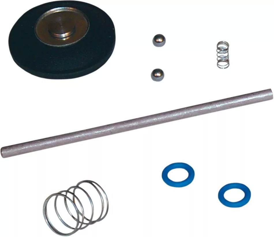 Accelerator Pump Rebuild Kit