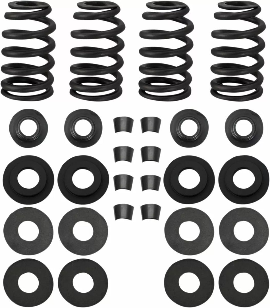 Street Performance Valve Spring Kit