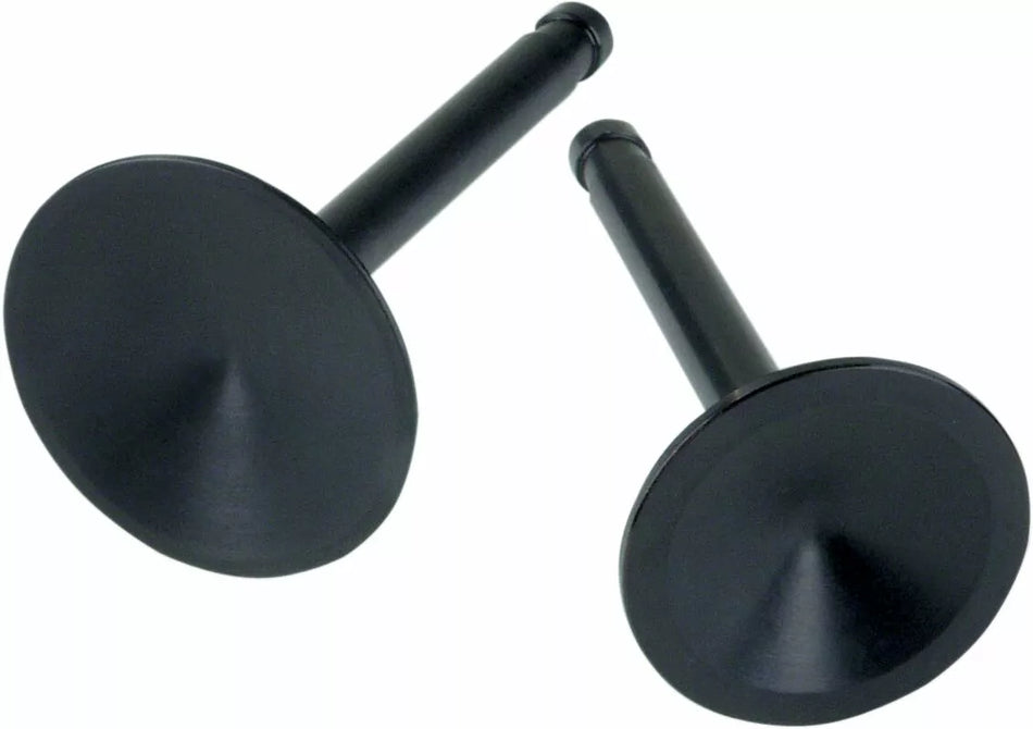 Replacement Valves