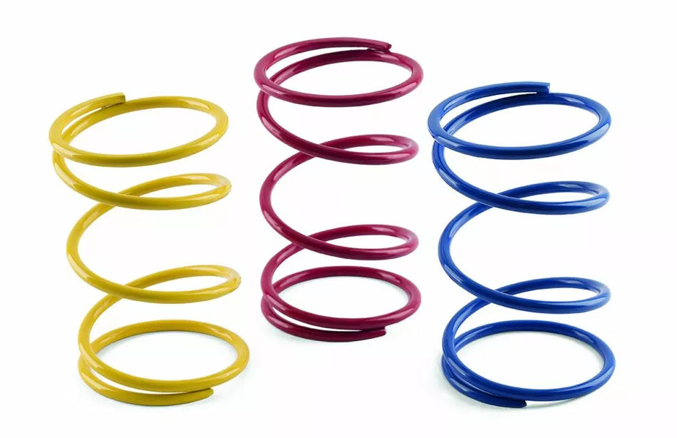 Variator Spring