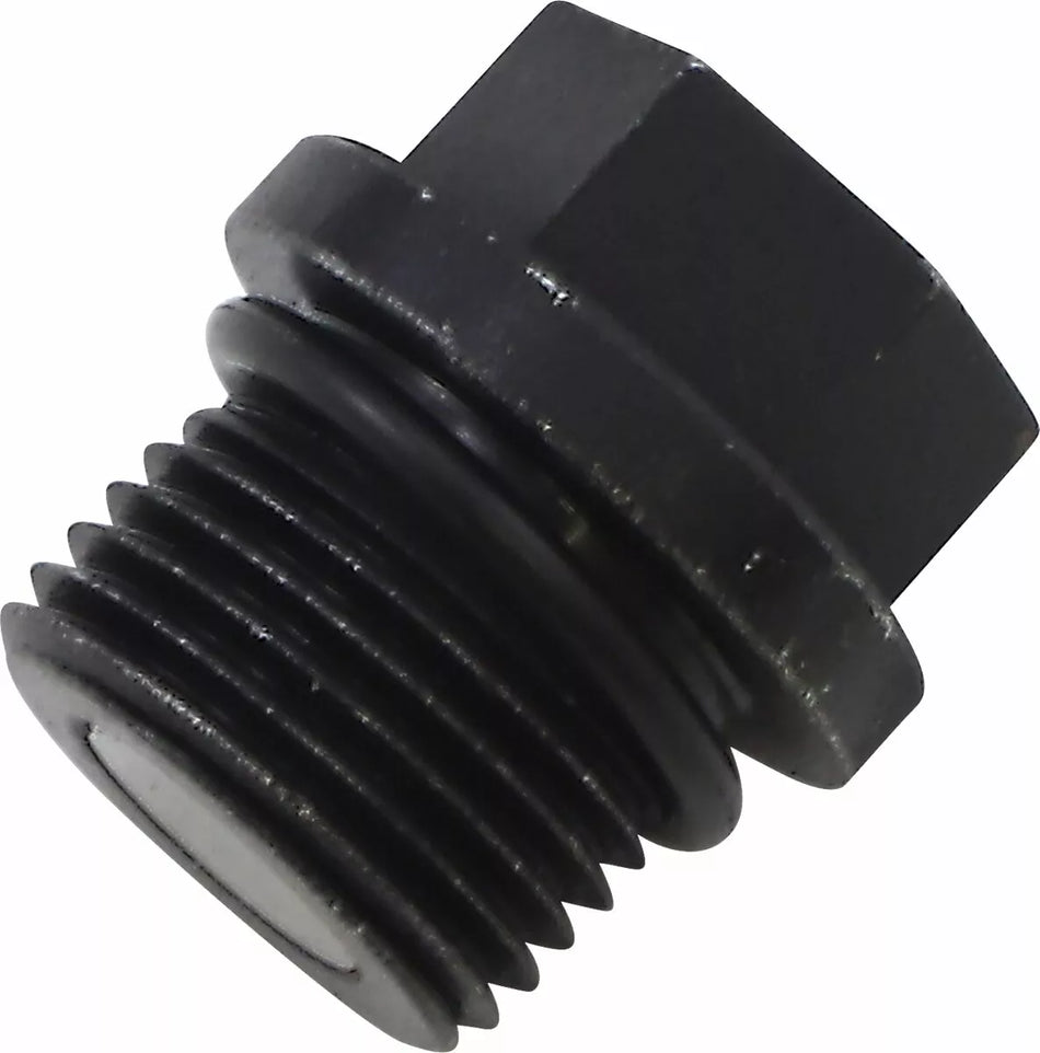 Transmission Drain Plug and O-Ring