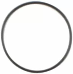Starter O-Ring