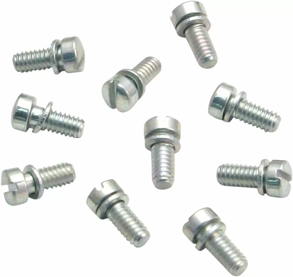 Slotted Screws