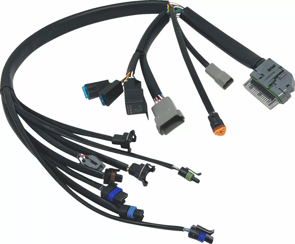 EFI Harness