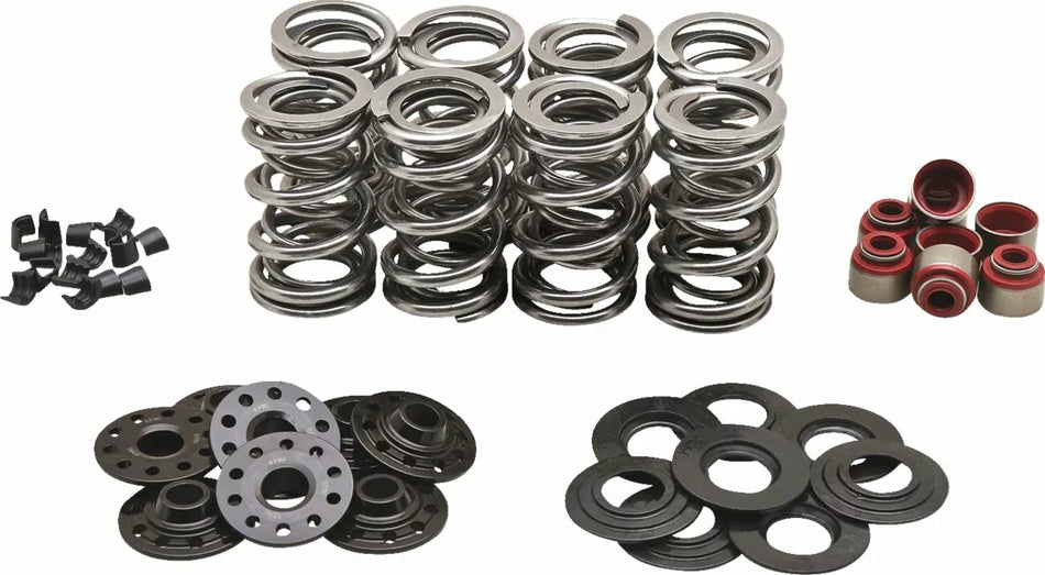 Dual Spring Kit