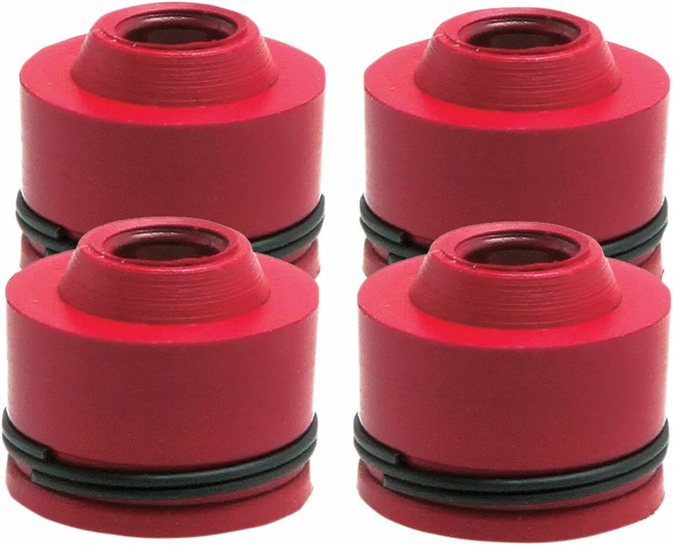 Valve Guide Seals
