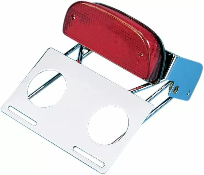 Custom Taillight and Chrome Bracket Assembly