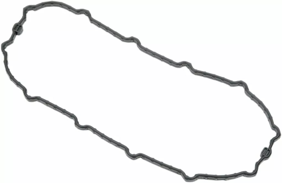 Fuel Pump Door Seal