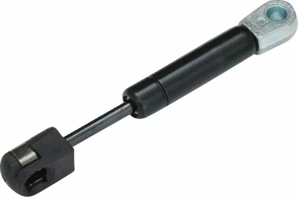 Trunk Shock