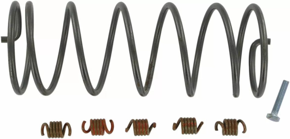 Economy Clutch Kit