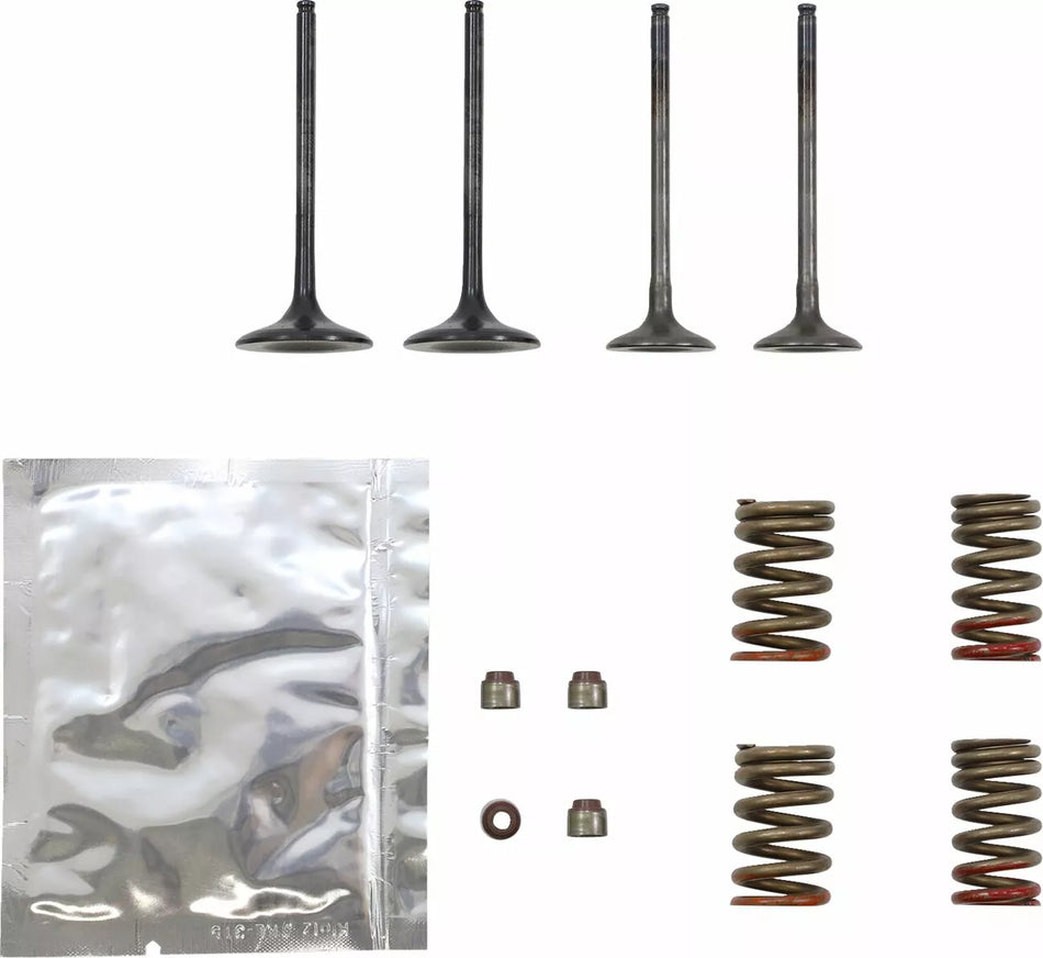 Valve Kit