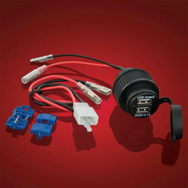 2-Port USB Accesory Socket