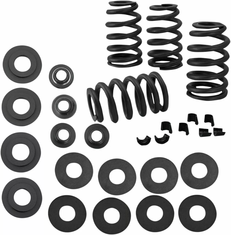 0.585” Valve Spring Kit