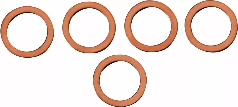 Fork Leg Washer