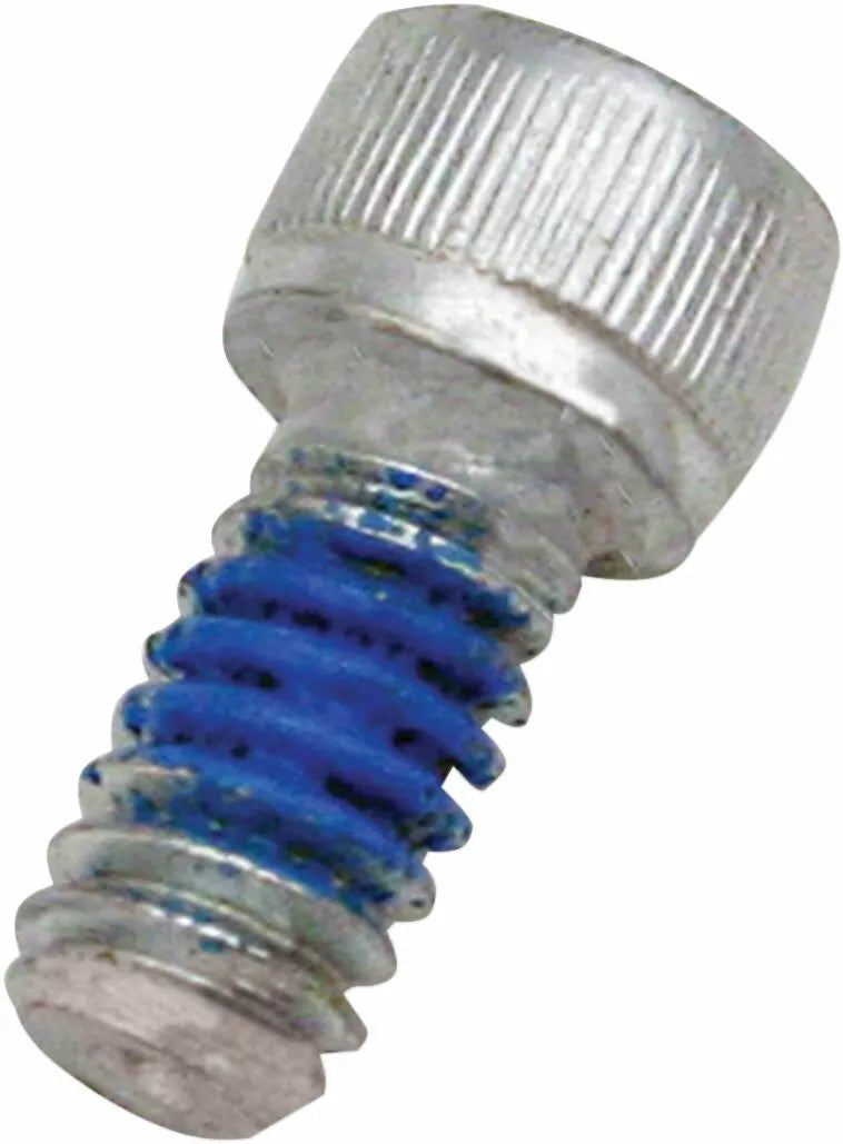 Replacement Air Cleaner Screw