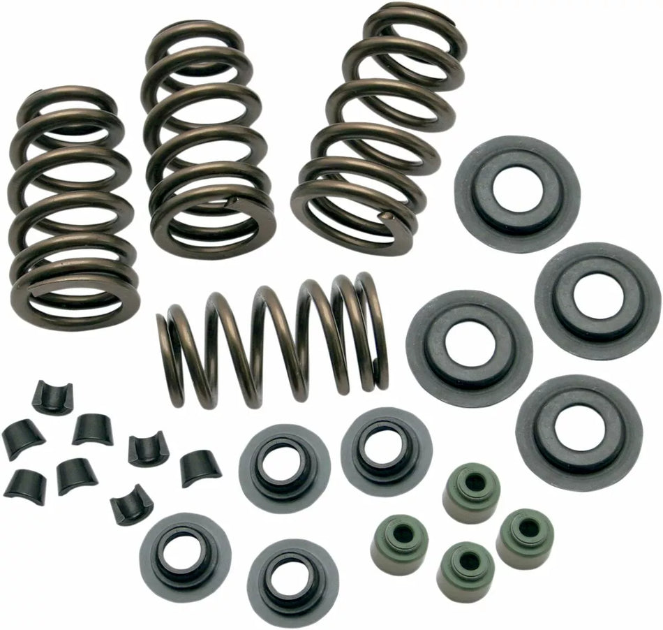 Sidewinder® .650" Valve Spring Kit