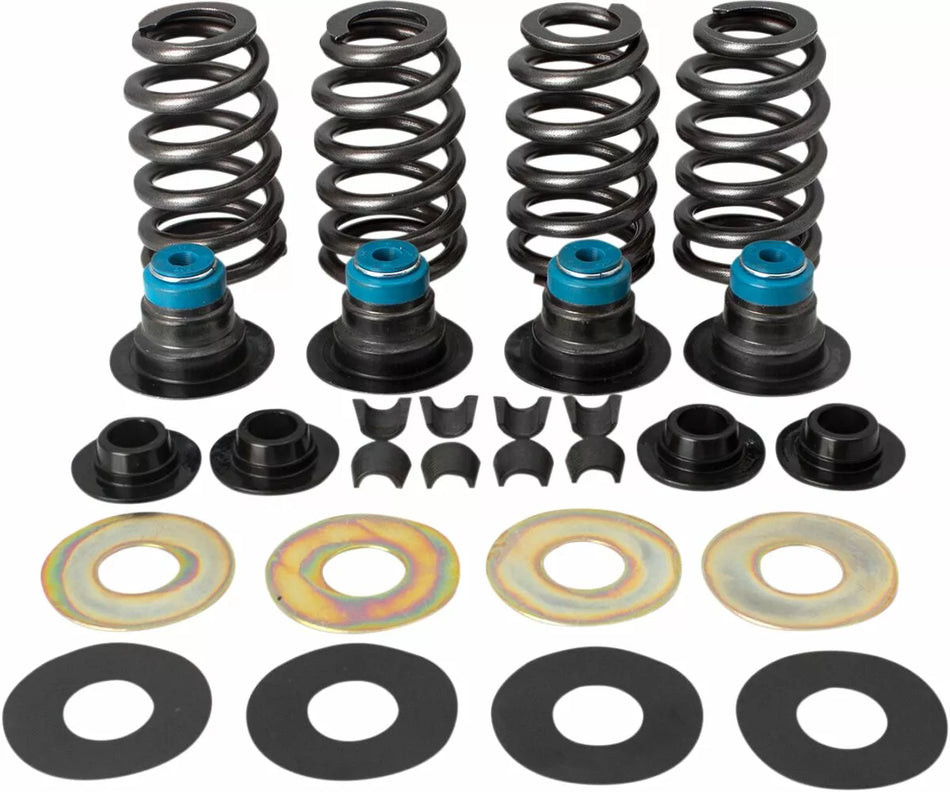 Valve Spring Kit