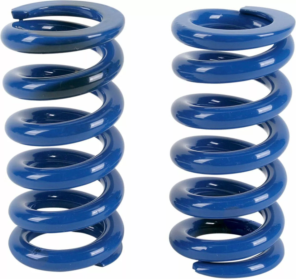 Big Shock Springs