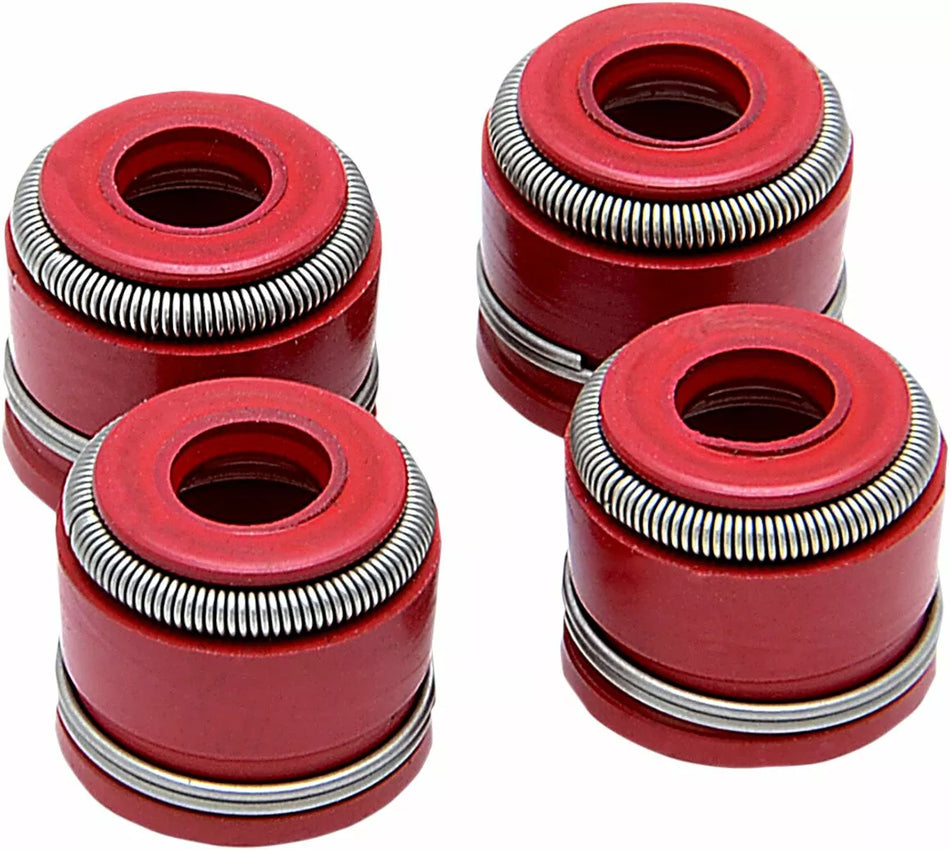 Valve Guide Seal Kit