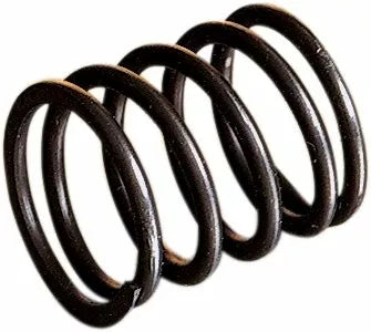 Rotary Shaft Spring